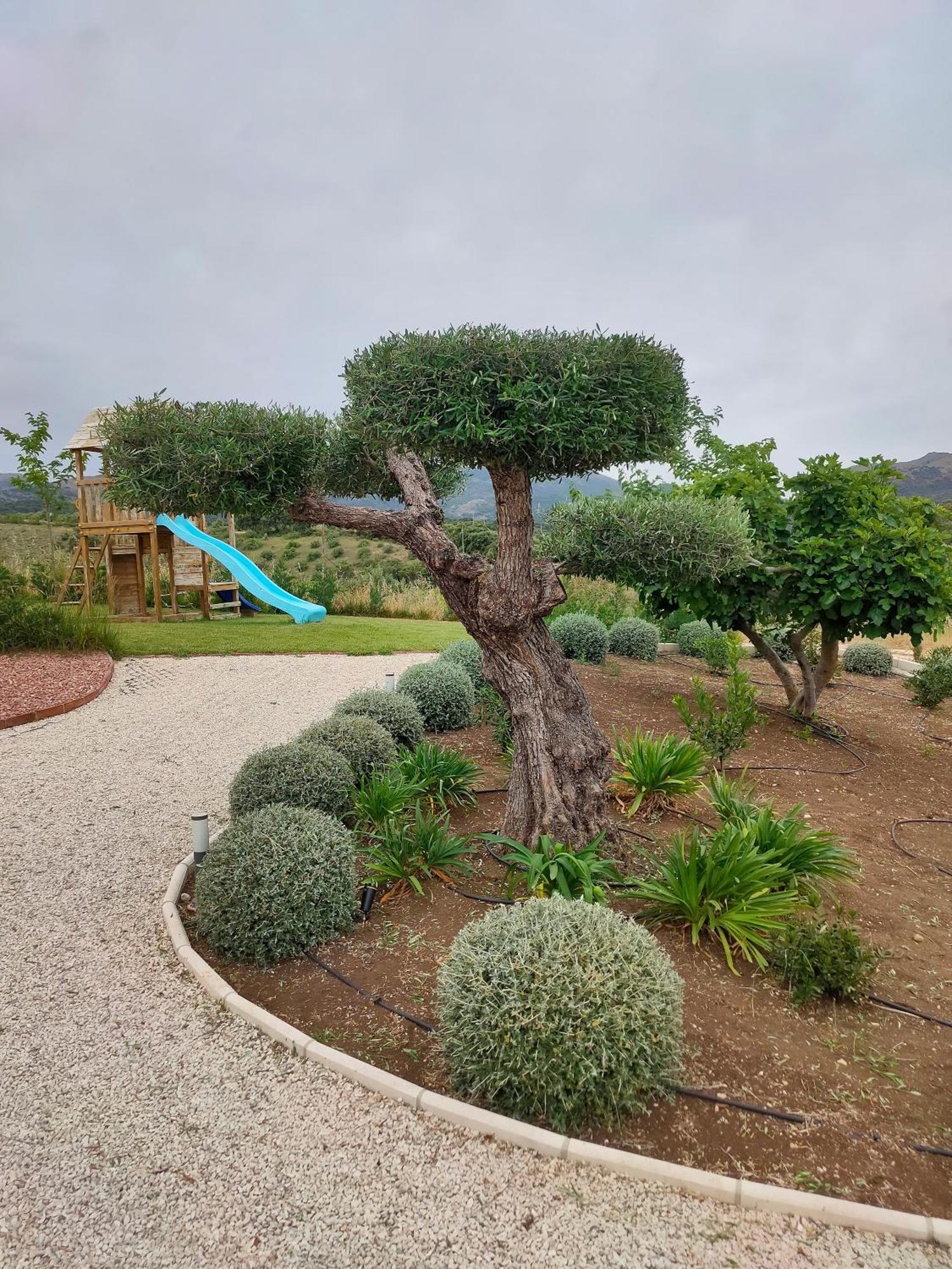הוילה רונדה La Marabulla מראה חיצוני תמונה